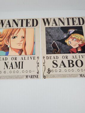 One Piece Dead or Alive, Nami & Sabo, 8x12 Glossy